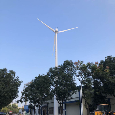 Лезвие стеклянного волокна ветрогенератора AC генератора ветротурбины 30kw Multi цветов электрическое 220V