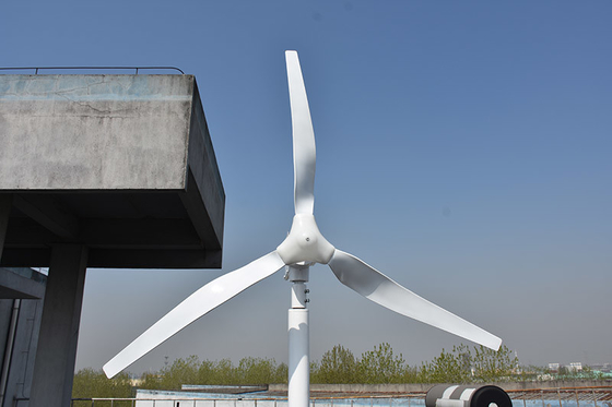 Трехфазная небольшая горизонтальная мельница ветра вольта 800W вольта 48 ветротурбины 24 горизонтальная